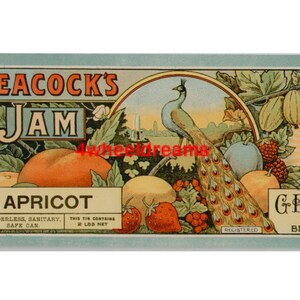 1900s Peacock Antique Bird Apricot Safe Sanitary Can Label Over 100 Years Old