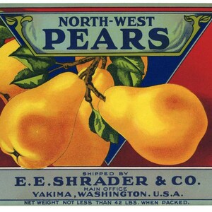 1920s Northwest Pears Shrader Yakima Washington WA Fruit Crate Label
