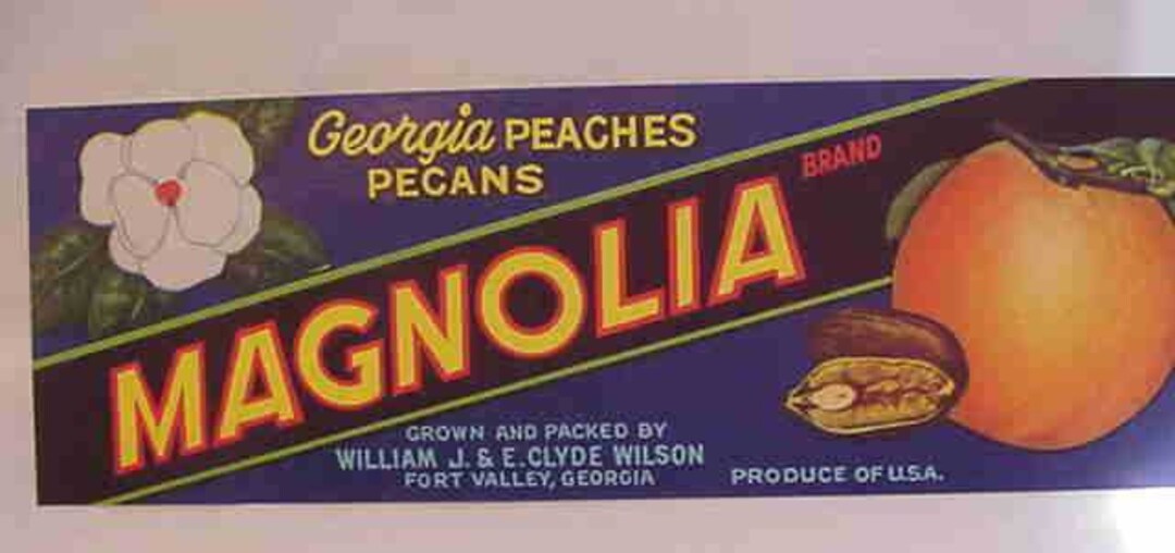 1940s Fort Valley Peaches Pecans Magnolia Rose Lot Etsy