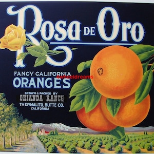 1930s Rosa de Oro Rose of Gold CA Citrus Oranges Ghianda Ranch Crate Label