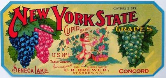 1920s Starkey NY New York State Grapes Cupid Brewer Seneca Lake