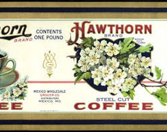 1920s Hawthorn Coffee Cup Antique Embossed Can Label Mexico MO Missouri Rare Beauty