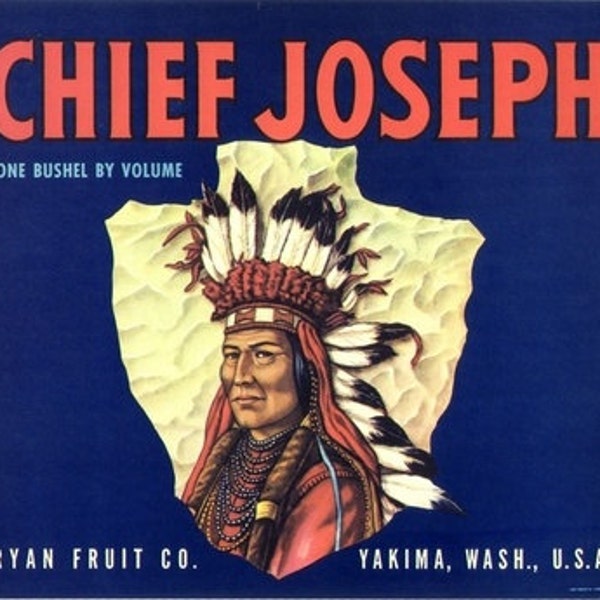 1940s Native American Chief Joseph Full Headdress Indian Arrowhead Crate Label