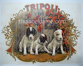 1910s Triple Three Patch Eye Black Mask Pups Puppies Best Friend Pets Doggie