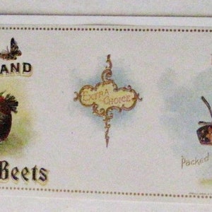 1920s 30s Strawberry Beets Olney Floyd Westernville Oneida Co NY