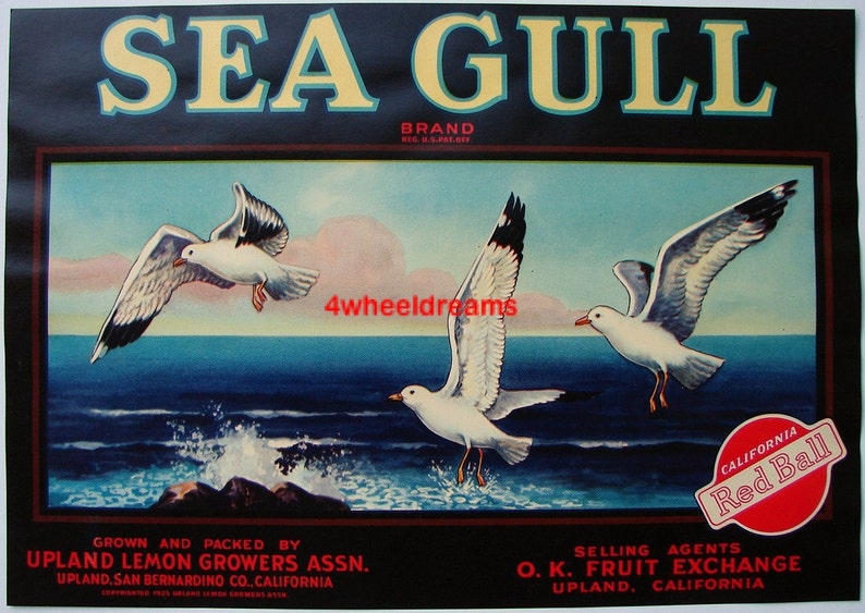 1930s Sea Gull Seabird Water Shore Birds Original CA Citrus Crate Label image 1