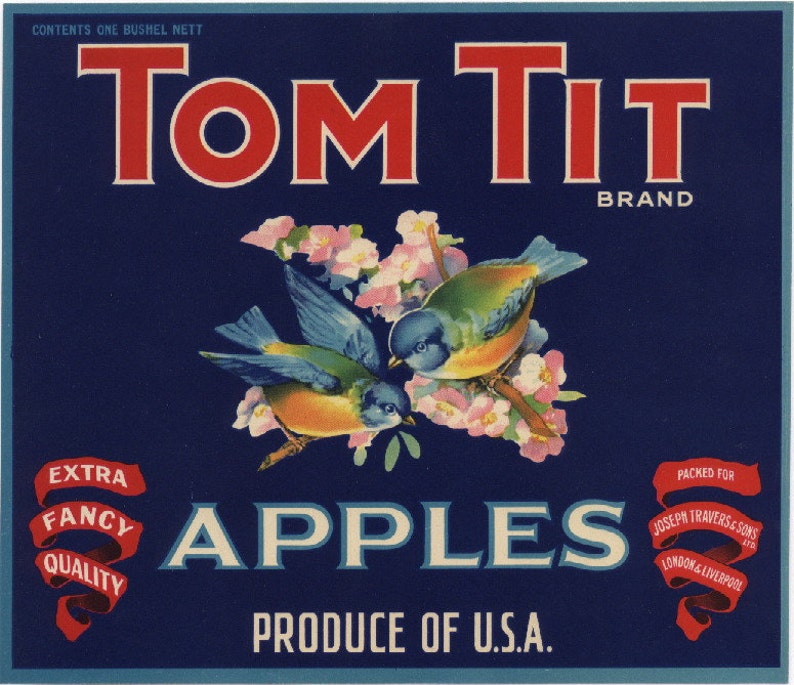 1940s Tom Tit Bird Blue Birds Birder Vintage Ad Art Apples Label image 1