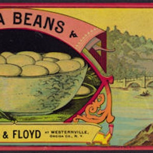 1890s Antique Original Lima Beans Can Label General Stores Olney Floyd Westernville New York
