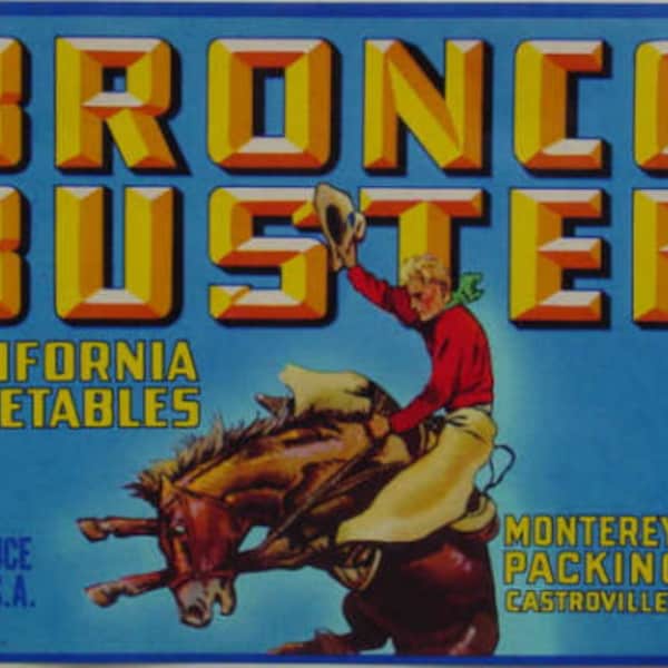 Bucking Bronco Horse Etsy