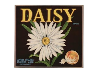 1940s Daisy Daisies Covina CA Flower Original Sunkist Citrus Crate Label