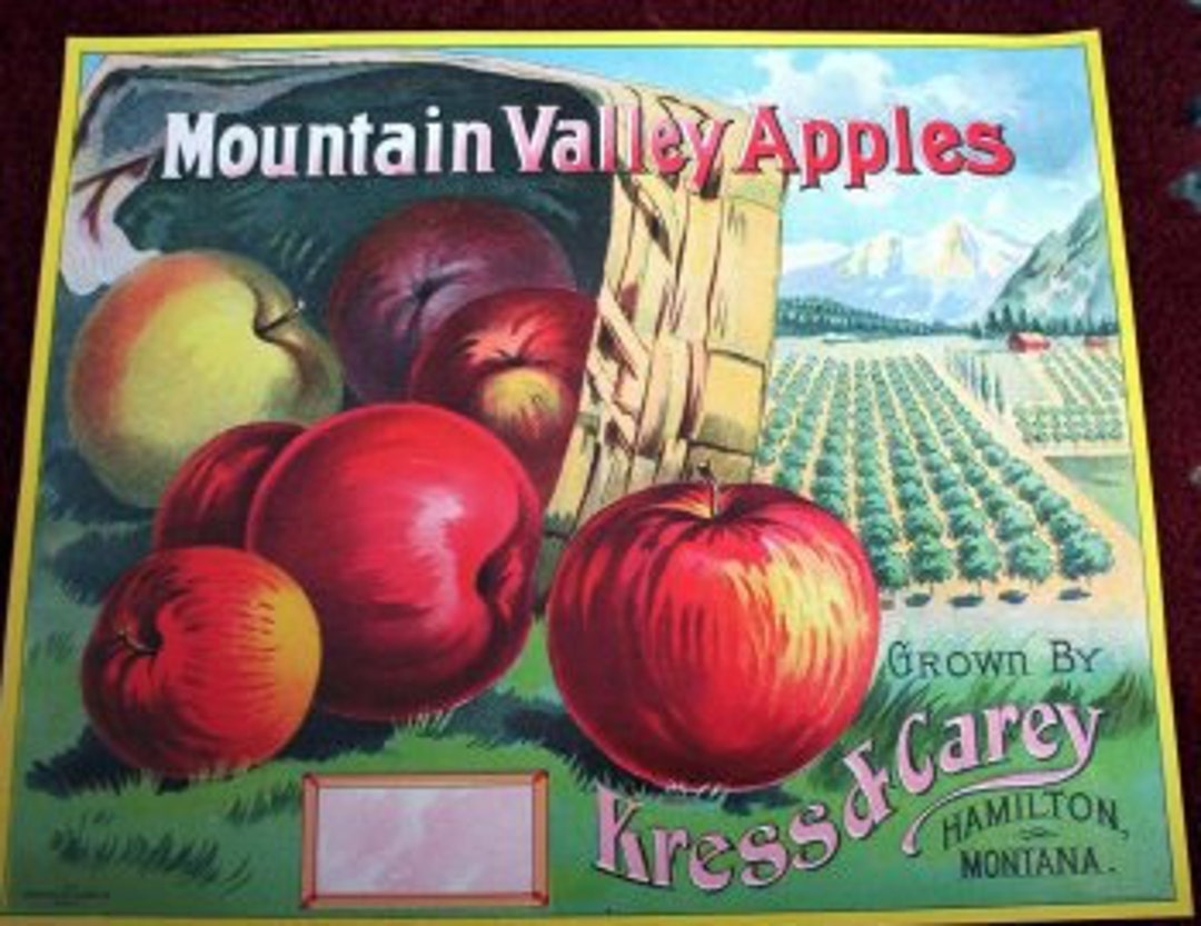 1910s Hamilton Montana Apple Apples Basket Orchards Antique Litho Etsy