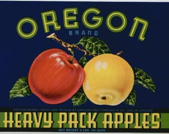 SNOW OWL~ORIGINAL 1920s YAKIMA WASHINGTON 90 YEAR OLD APPLE FRUIT CRATE LABEL SNOW OWL~ORIGINAL 1920s YAKIMA WASHINGTON 90 YEAR OLD APPLE FRUIT CRATE LABEL