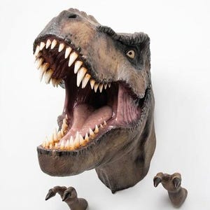 Könnte beinhalten: Eine detaillierte, braune Tyrannosaurus Rex-Kopfskulptur mit offenem Maul, das scharfe weiße Zähne und ein rosa Inneres zeigt. Zwei braune Krallenskulpturen sind darunter positioniert.