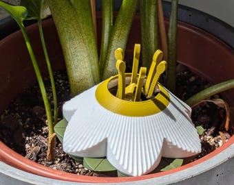 DAISY - Self-Watering Insert