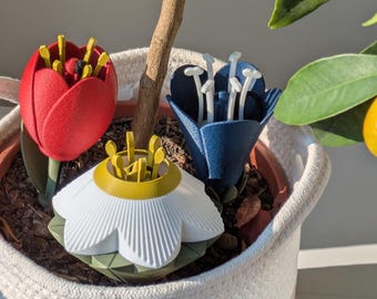 PACK - Self-Watering Inserts
