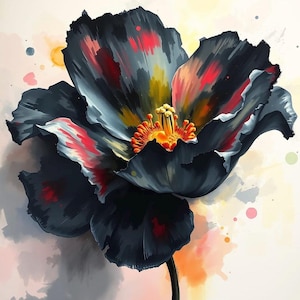 Könnte beinhalten: Eine große, malerische Blumenillustration mit dunkelgrauen und schwarzen Blütenblättern, die mit lebhaften Streifen in Rot, Gelb und Weiß versehen sind. Die Mitte zeigt leuchtend gelbe Staubgefäße mit orangefarbenen Akzenten vor einem hellen Hintergrund mit verstreuten Farbspritzern im Aquarellstil.
