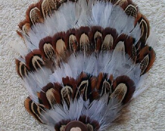 Brown and White Feather Fascinator with Flower Barrette
