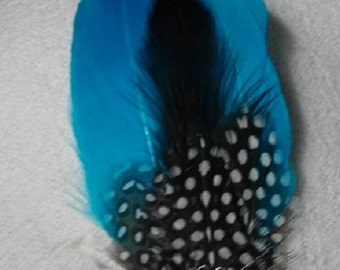 Turquoise and Black Feather Fascinator with White Flatback - Choose headband, barrette, comb or clip