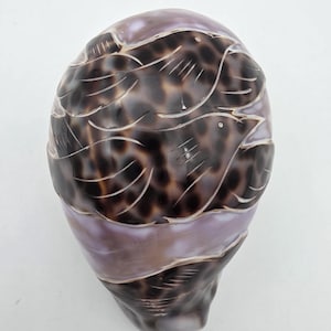 Vintage Hand Carved Birds on Tiger Cowrie Shell