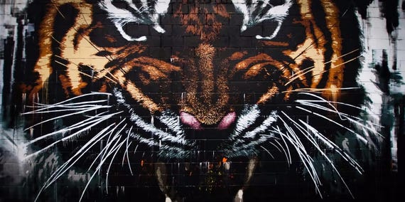 Tiger Wall Art - Print