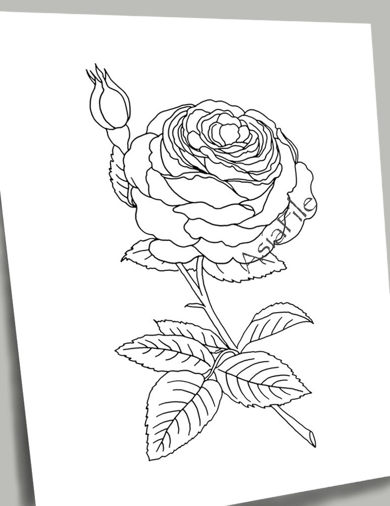 DIGITAL Coloring Pages for All Ages 9Inch Flowers Digital Etsy