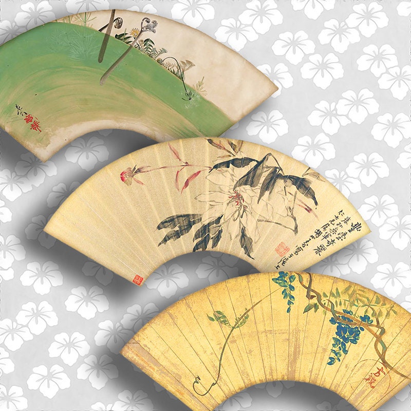 Hand Fan, Fan, Folding Fan, Japanese Gifts, Japanese Fan, Japan