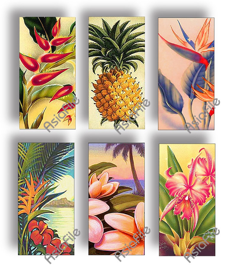 DIGITAL 1 X 2 Images Printable Hawaiian Flowers Vintage Hawaii Tropical Instant Download Scrapbook Collage Stationery Paper Crafts CS 536