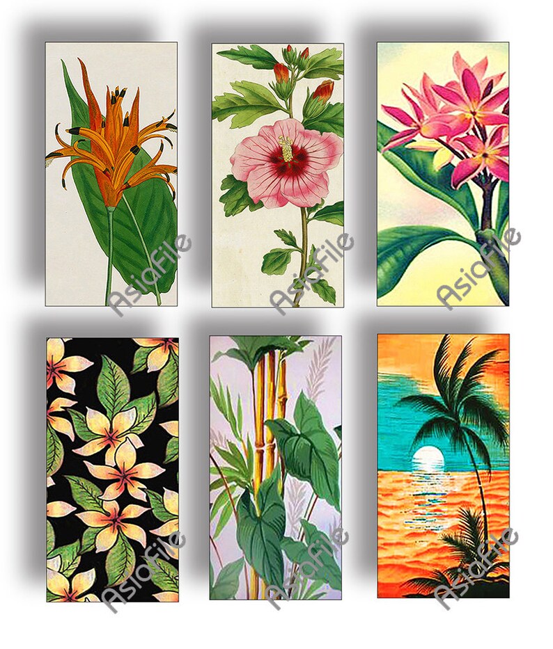 DIGITAL 1 X 2 Images Printable Hawaiian Flowers Vintage Hawaii Tropical Instant Download Scrapbook Collage Stationery Paper Crafts CS 536