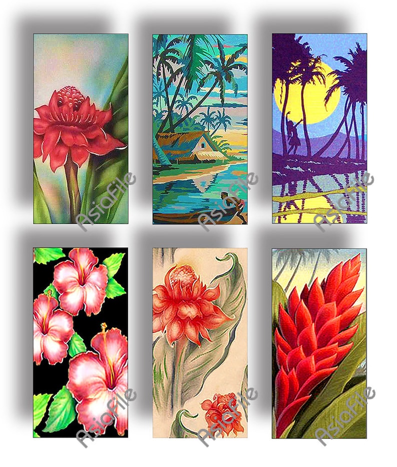 DIGITAL 1 X 2 Images Printable Hawaiian Flowers Vintage Hawaii Tropical Instant Download Scrapbook Collage Stationery Paper Crafts CS 536
