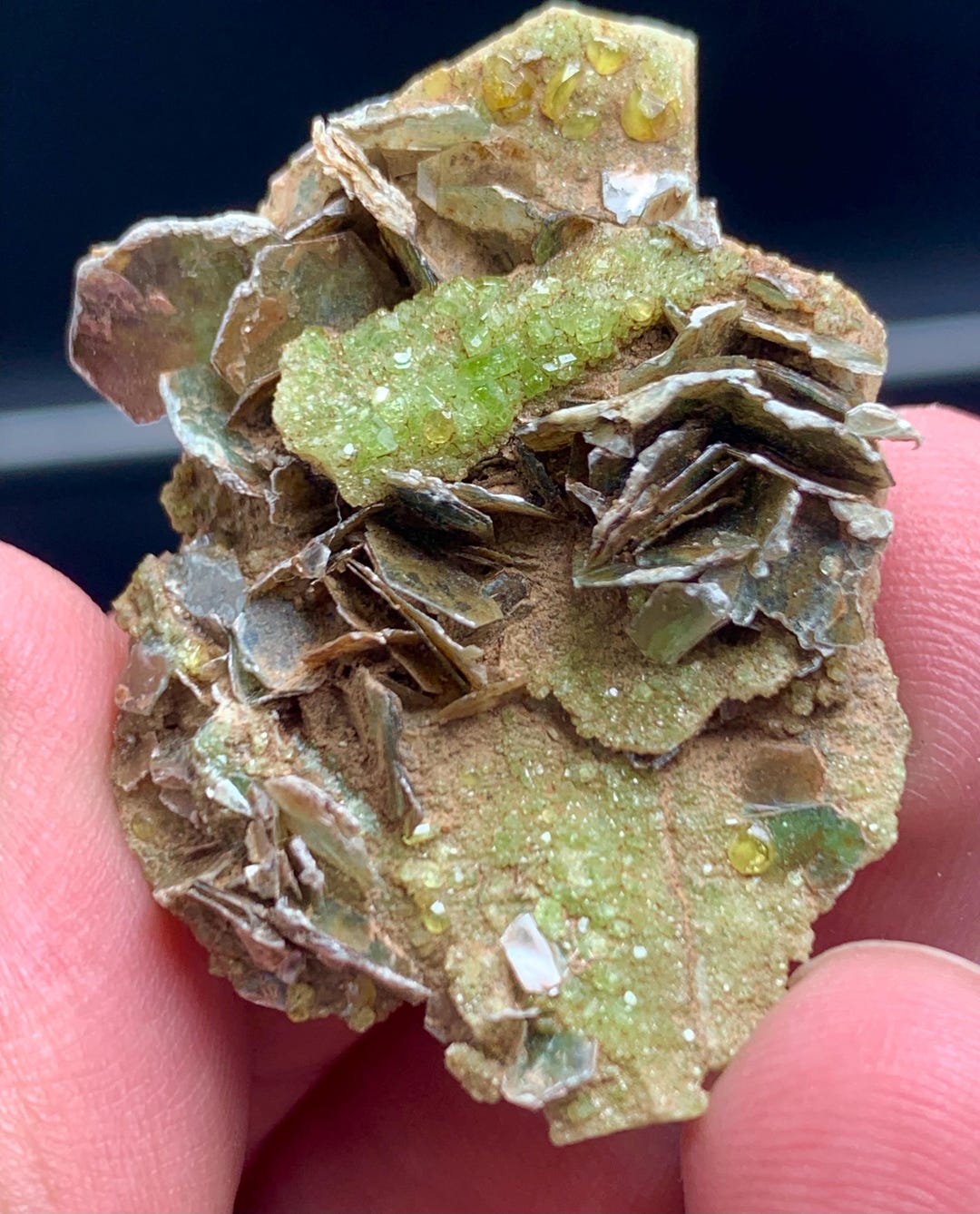 Grenat Spessartite De Namibie - 7,18 Ct - Pierre Naturelle Orange Vibrante - Taille Ovale