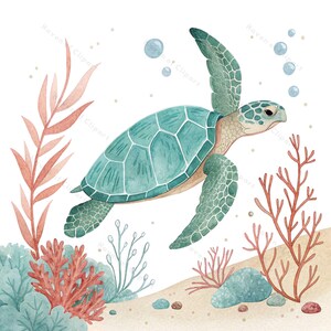 12 Sea Turtle Clipart With Coral • Watercolor Ocean Animal PNG JPG ...
