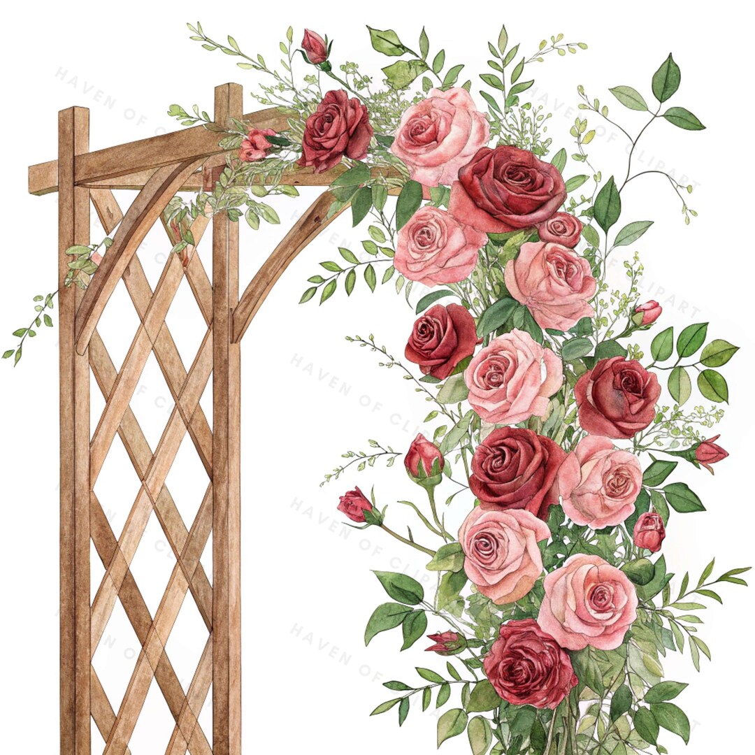 12 Wooden Trellis With Roses Clipart • Watercolor Climbing Garden ...
