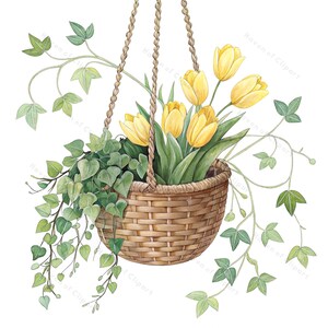 12 Blumenampel Aquarell Clipart • Efeu & Tulpe Pflanzgefäße in Frühlings Pastell • PNG/JPGs für Drucke, Papiermodelle, digitaler Download