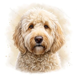 12 imágenes prediseñadas de retratos de perros en acuarela • Ilustración realista de labradoodle en tonos beige suaves y dorados • Arte de mascotas PNG/JPG para impresiones y decoración