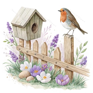 12 Rotkehlchen & Frühling Veranda Clipart • Aquarell Vogel auf Zaun mit Blumen und Eiern • PNG JPG Set in 3 Pastell Szenen für Ostern, Frühling Dekor