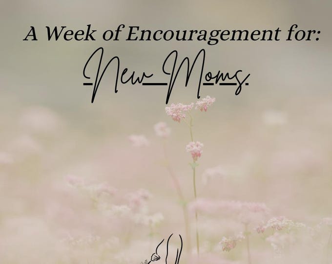 The Mother Collection| Week of Encouragement for New Moms