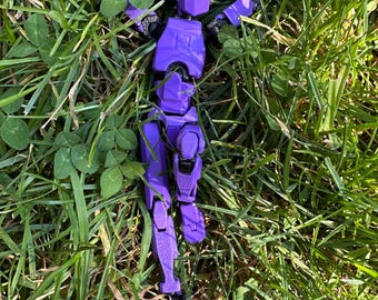Dummy 13 3D Printed Action Figure