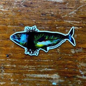 FISH STICKER