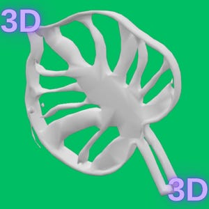 Palm Leaf Cookie Cutter (Model 2) – STL File – Extended Commercial License