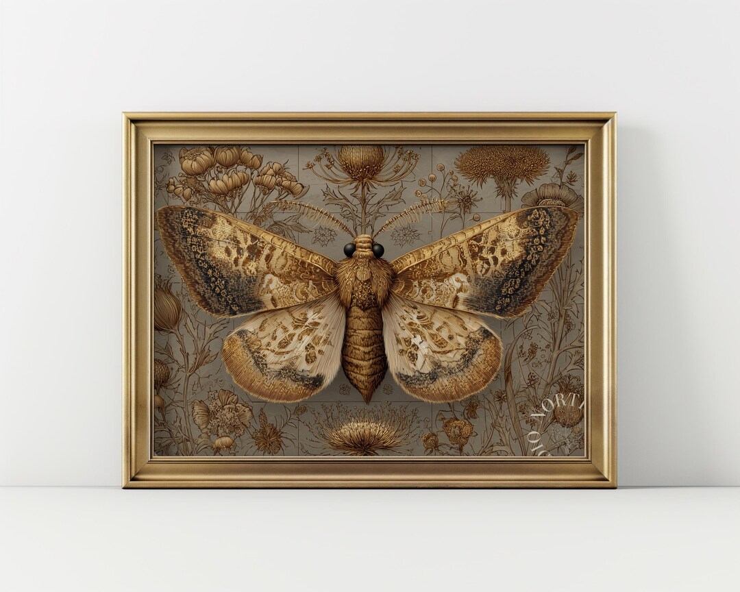 Moth Incarving Vintage Autumn Moth Engraving - Printable Rustic Wall Art, Cottagecore ...