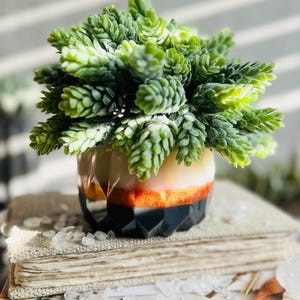 May include: A decorative succulent arrangement in a geometric vase. The vase has a black, orange, and cream colour scheme. The succulent has green, textured leaves. The arrangement sits atop a stack of books.