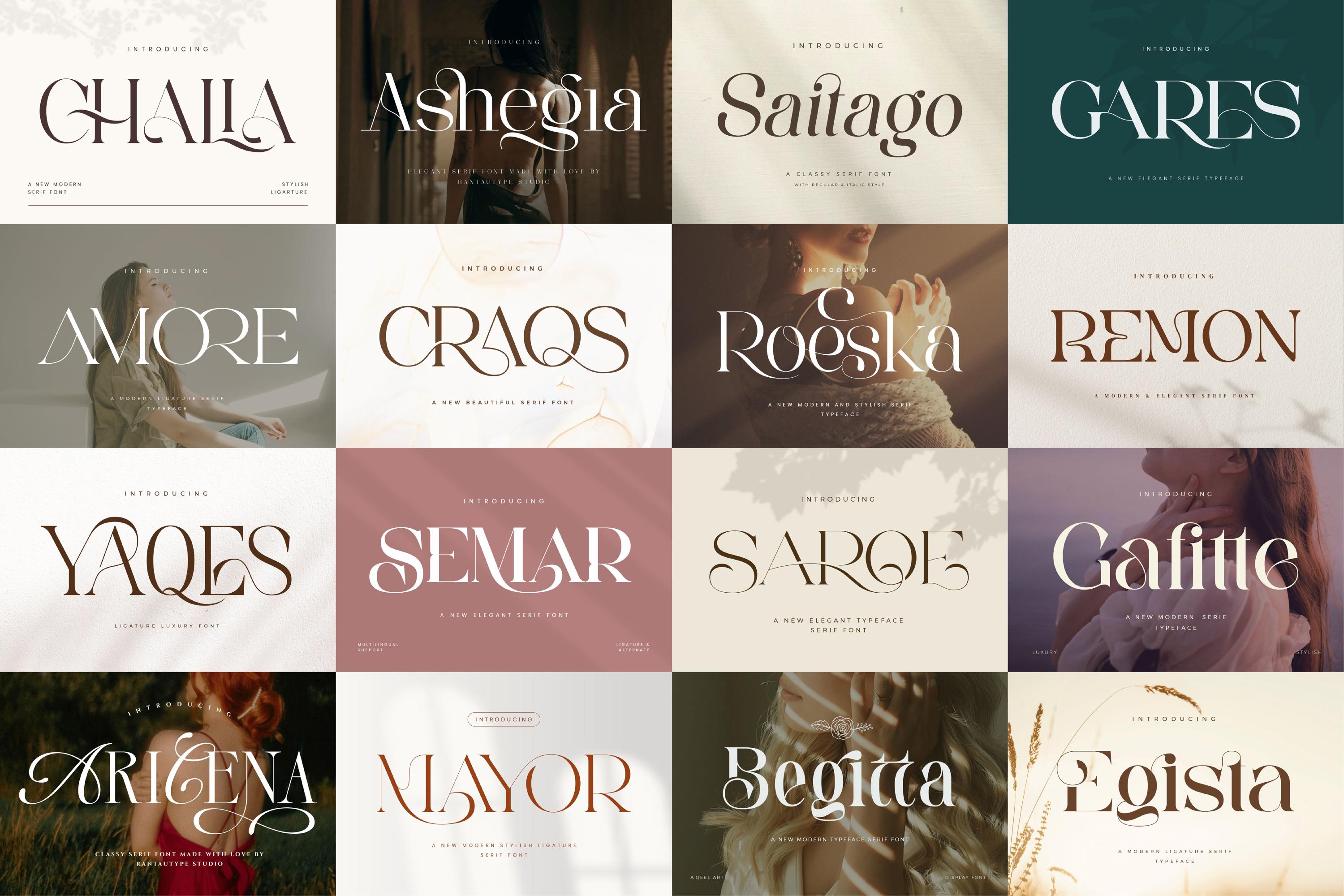 Unique and Classy Fonts Bundle - Modern Branding - Elegant & Stylish ...