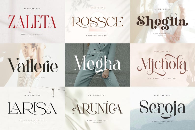 Unique and Classy Fonts Bundle - Modern Branding - Elegant & Stylish ...