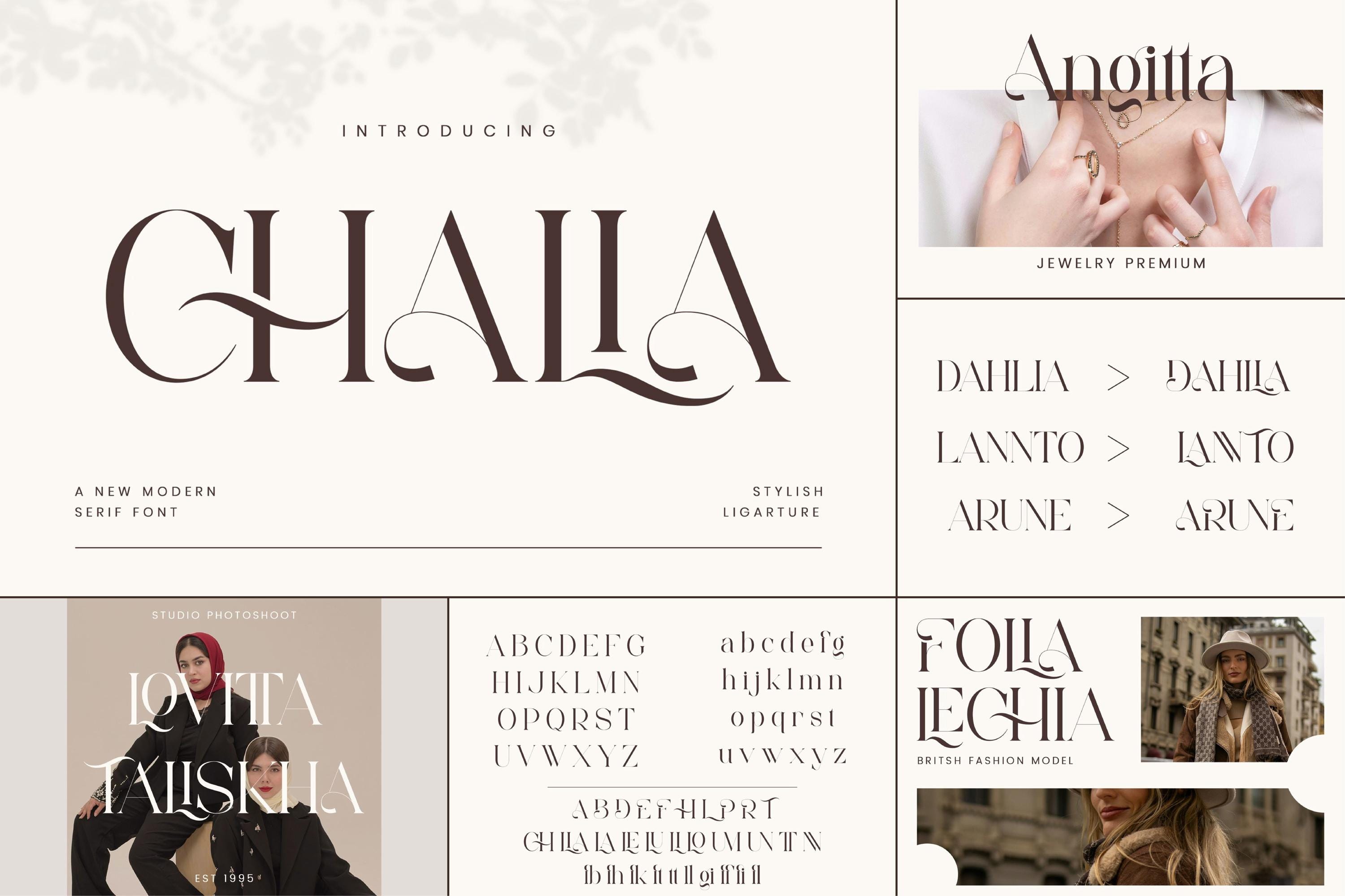 Unique and Classy Fonts Bundle - Modern Branding - Elegant & Stylish ...