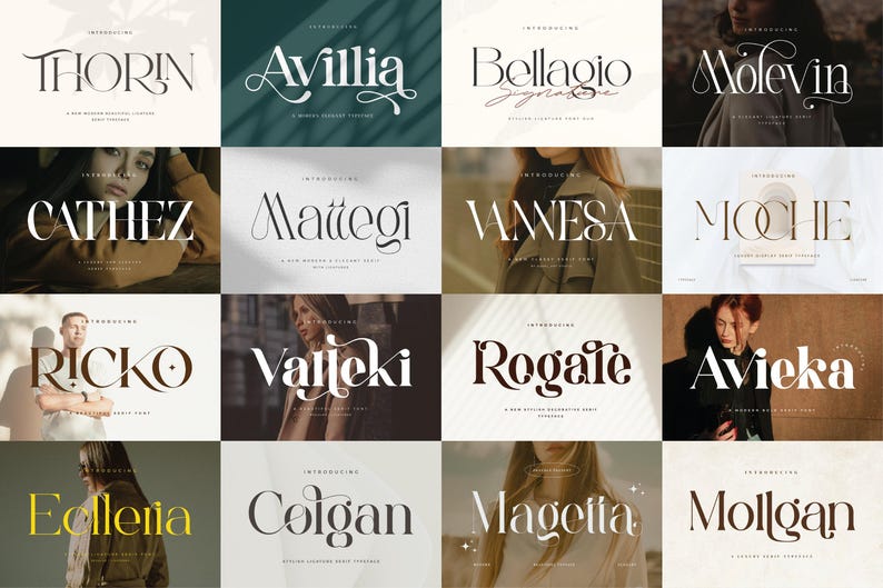 Unique and Classy Fonts Bundle - Modern Branding - Elegant & Stylish ...