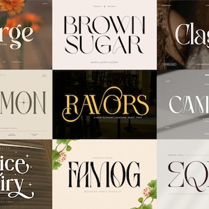 100 Modern Branding Fonts Bundle - Elegant & Classy fonts, Procreate, Canva, Cricut, Luxury Ligature Serif Font, Stylish Glyphs image 7