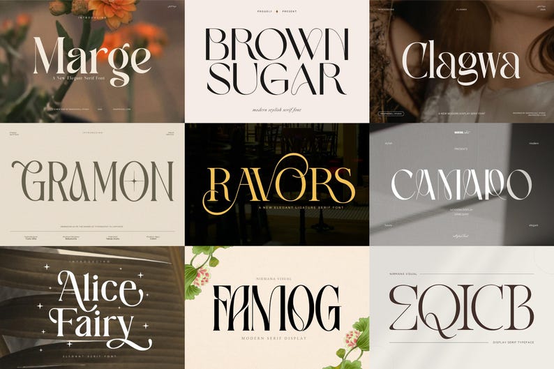 100 Modern Branding Fonts Bundle - Elegant & Classy fonts, Procreate, Canva, Cricut, Luxury Ligature Serif Font, Stylish Glyphs image 7