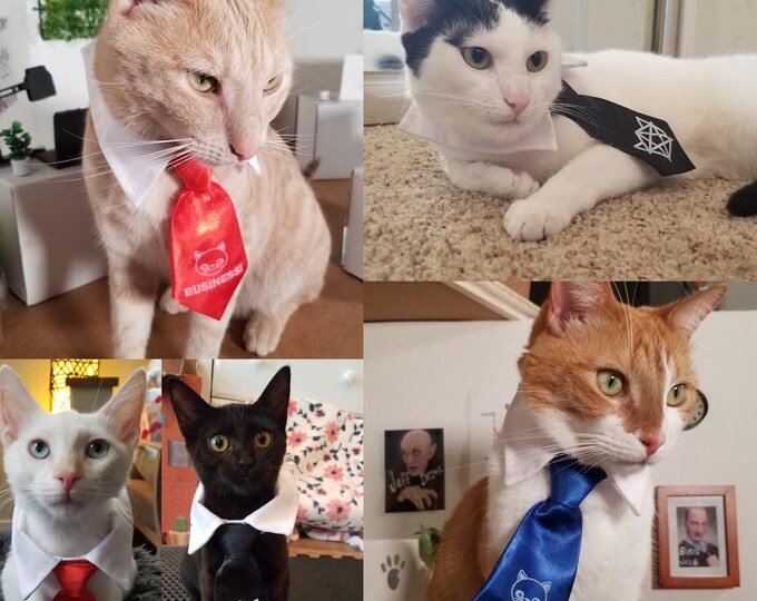 Official Business Boys and Catagram Cat Ties by Drennon Davis Small Pet