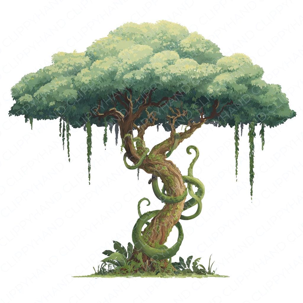 20 Jungle Tree Clip Art, Rainforest Clipart PNG, Tree Clipart ...