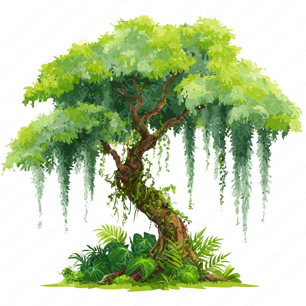 20 Jungle Tree Clip Art, Rainforest Clipart PNG, Tree Clipart ...